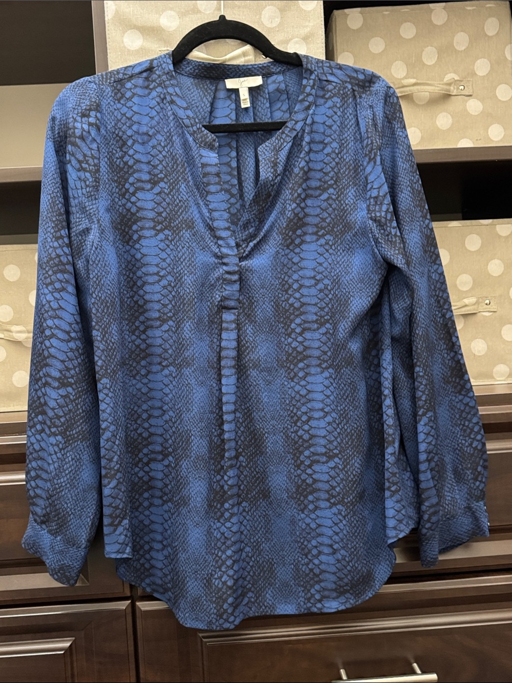 Blue Snake-Print V-Neck Long-Sleeve Women's Top Silk